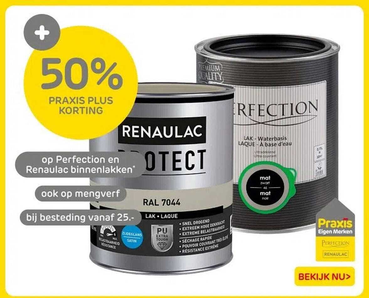 50% PRAXIS PLUS KORTING op Perfection en Renau lac binnenlakken