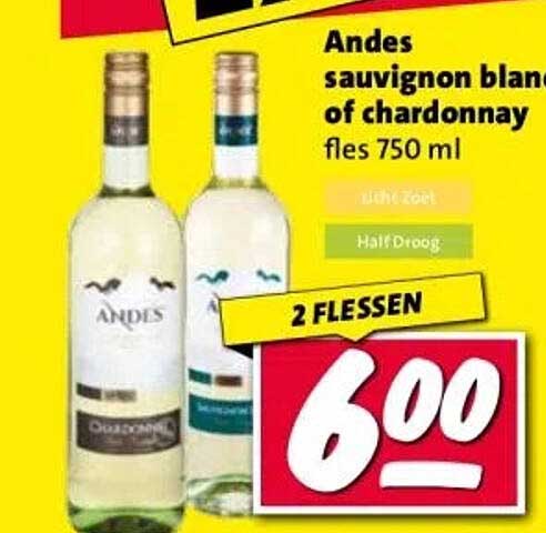 Andes sauvignon blanc of chardonnay fles 750 ml