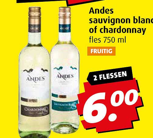 Andes sauvignon blanc of chardonnay fles 750 ml