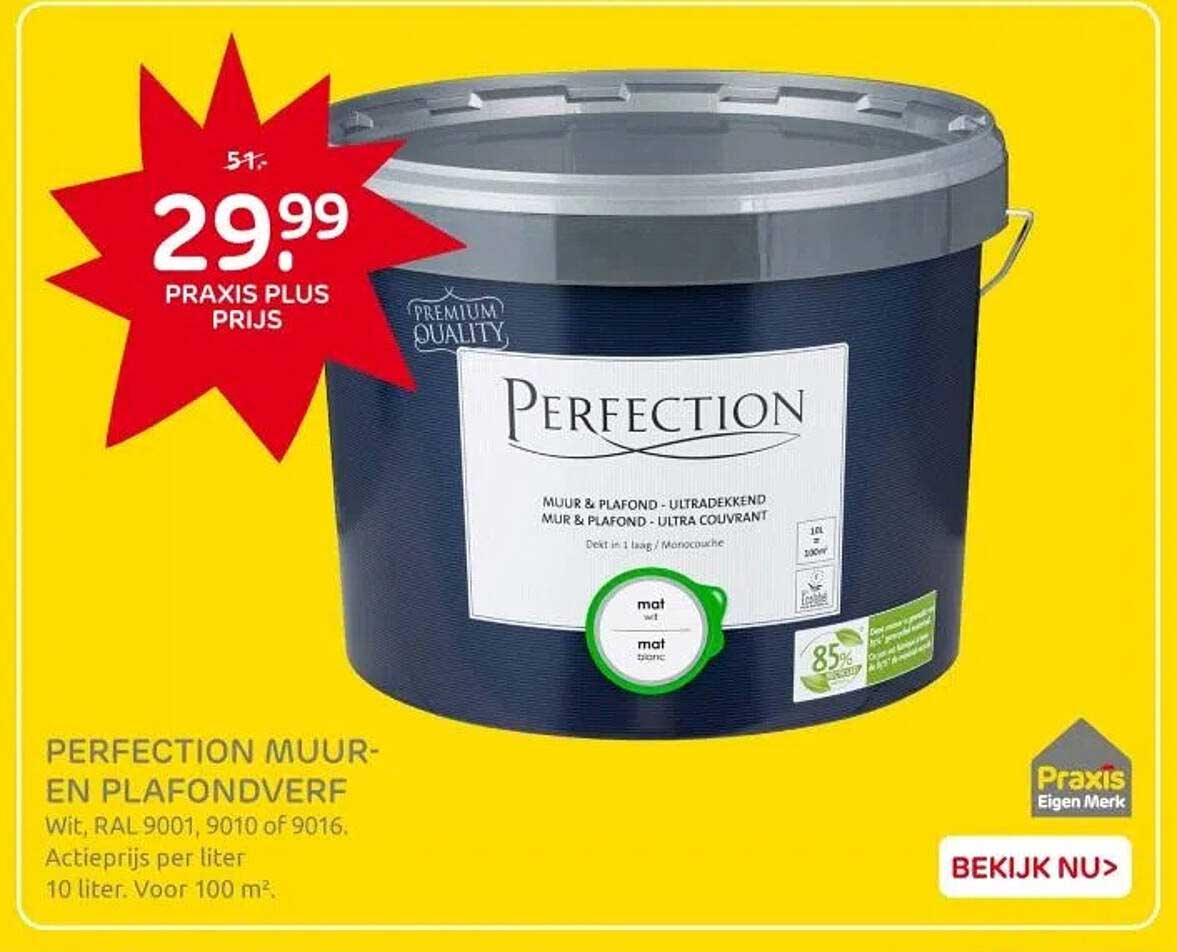 PERFECTION MUUR- EN PLAFONDVERF