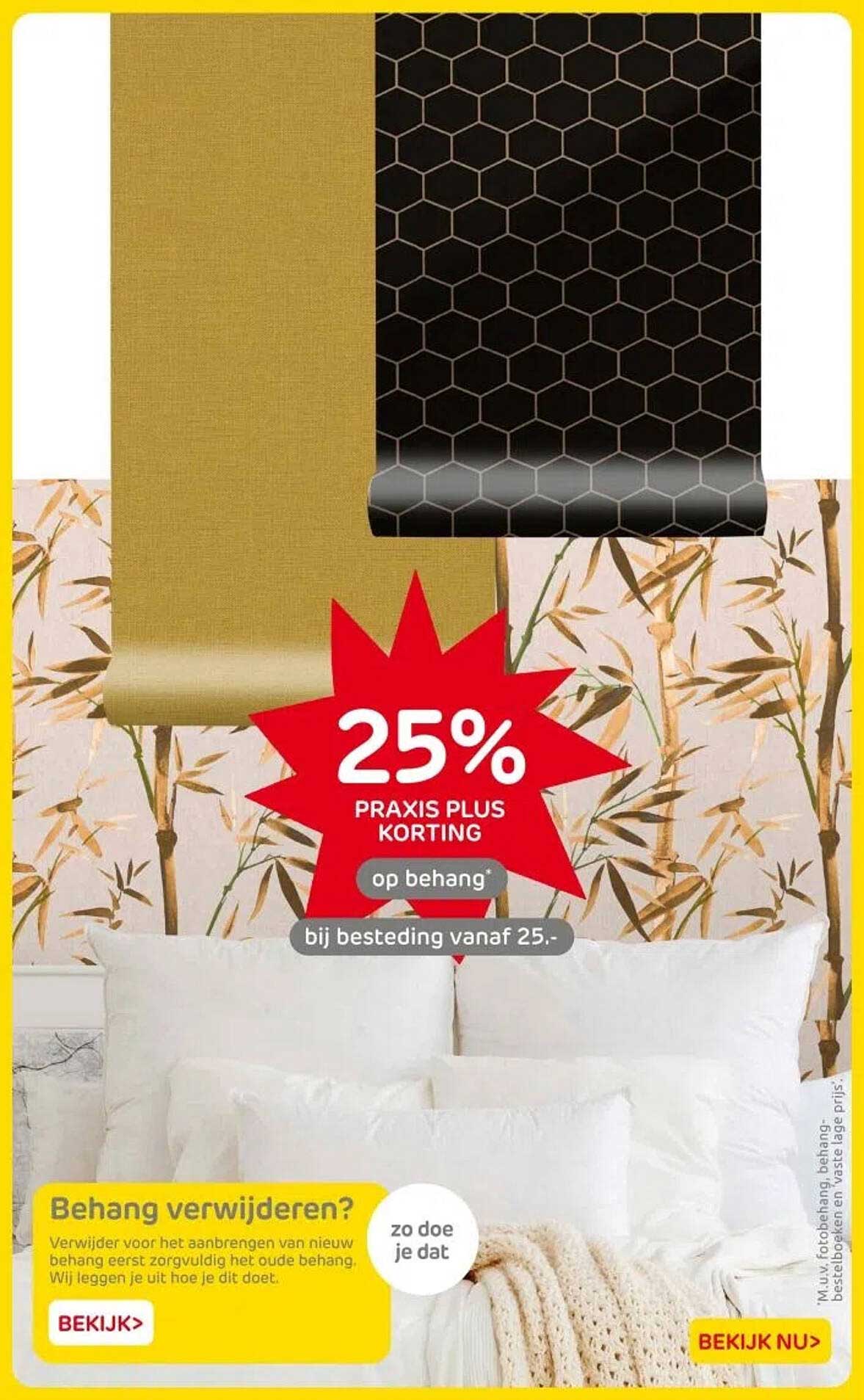 25% PRAKIS PLUS KORTING op behang bij besteding vanaf 25.-