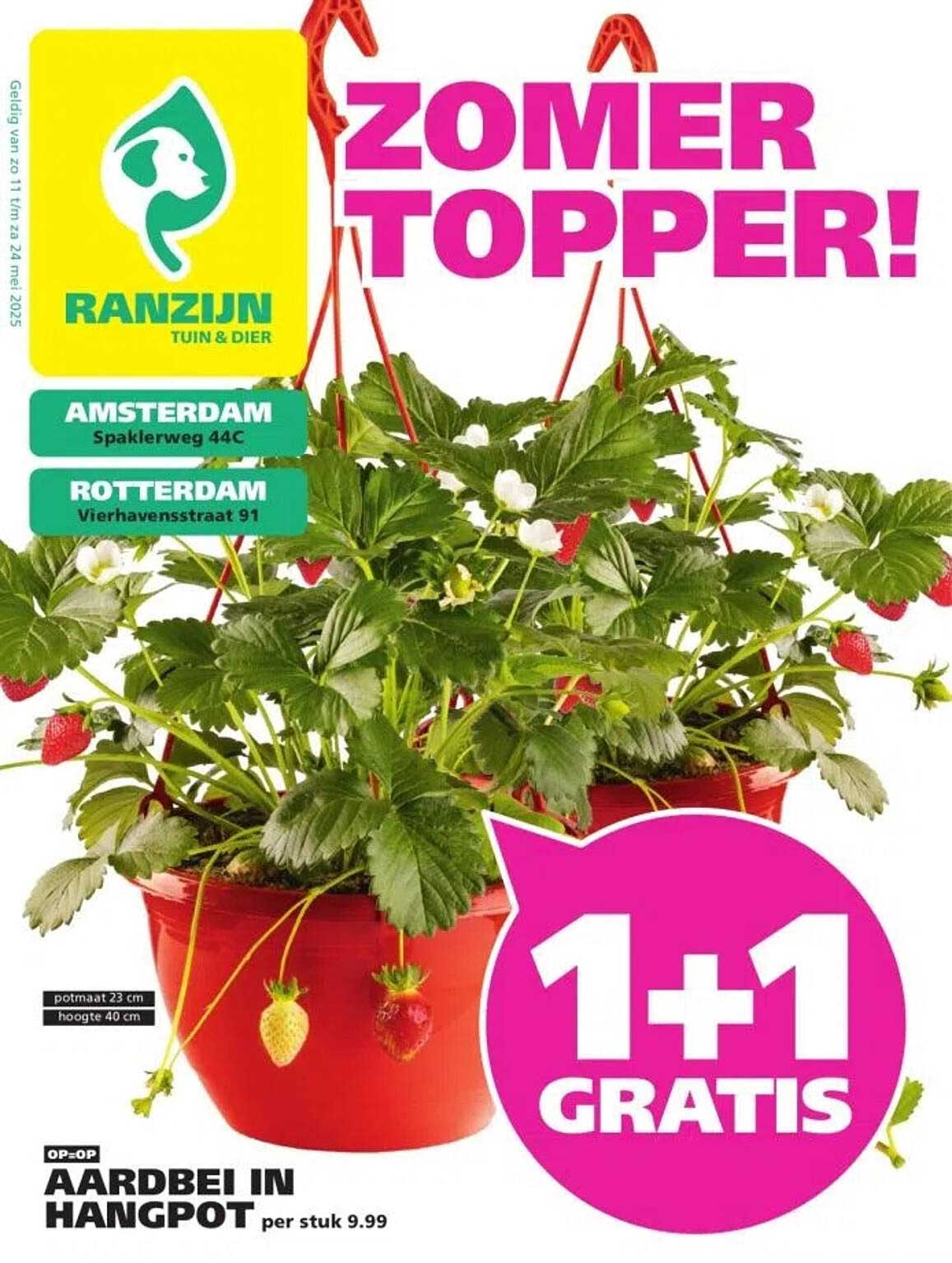Aardbei in hangpot per stuk 9.99