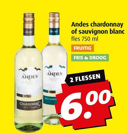 Andes chardonnay of sauvignon blanc fles 750 ml