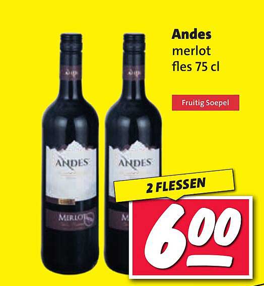 Andes merlot fles 75 cl