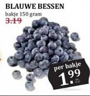 BLAUWE BESSEN