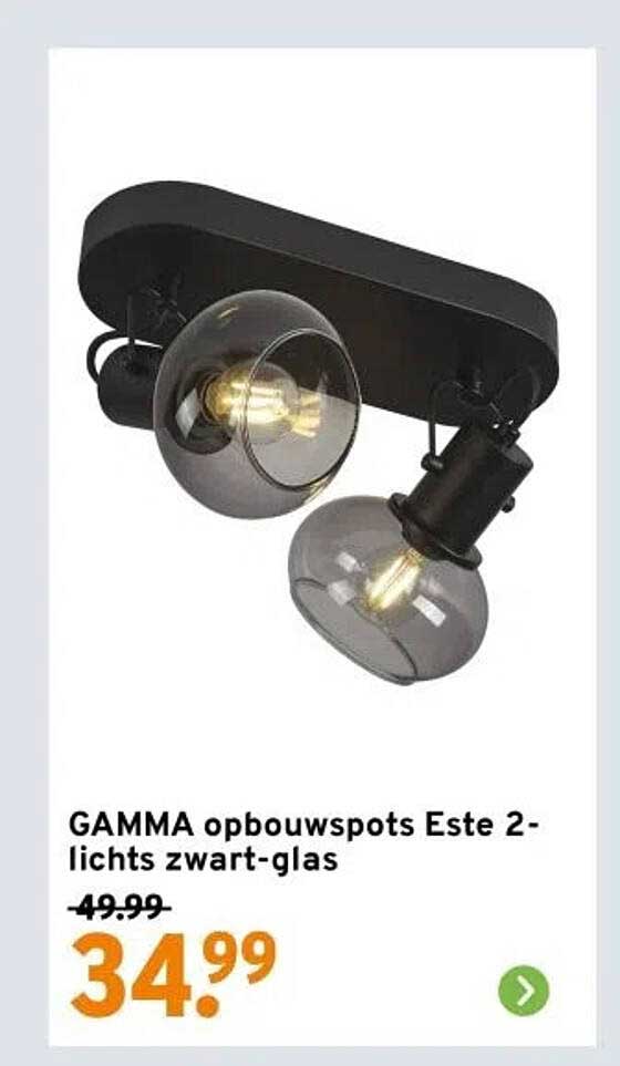 GAMMA opbouwspots Este 2-lichts zwart-glas
