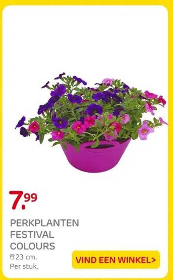 PERKPLANTEN FESTIVAL COLOURS