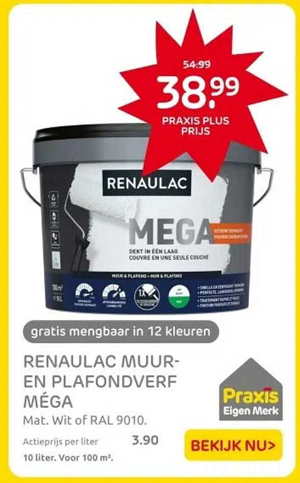 RENAULAC MUUR- EN PLAFONDVERF MÉGA