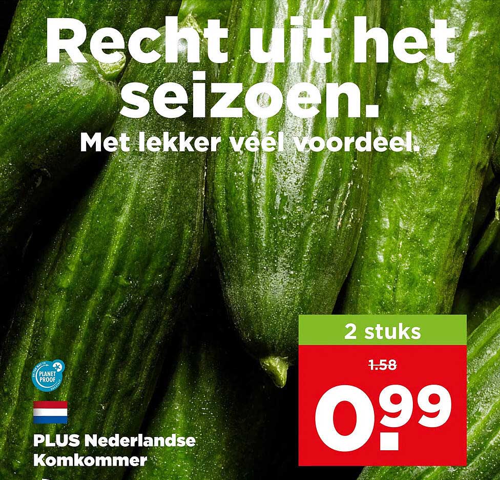 PLUS Nederlandse Komkommer 2 stuks