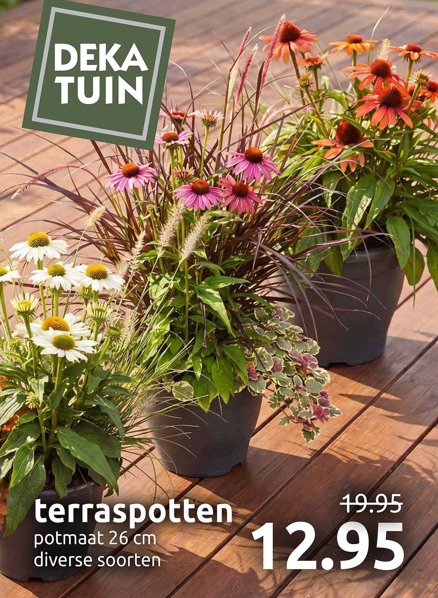 terraspotten potmaat 26 cm diverse soorten