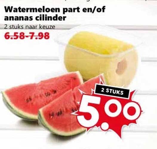 Watermeloen part en/of ananas cilinder 2 stuks naar keuze