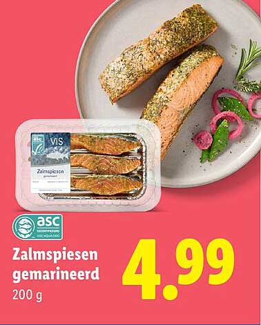 Zalmspiesen gemarineerd