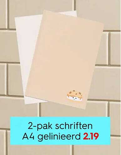 2-pak schriften A4 gelinieerd