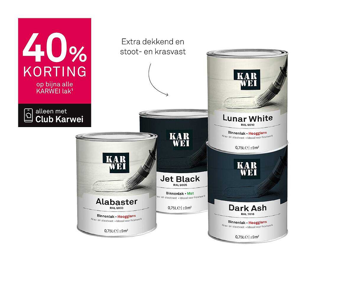 40% KORTING op bijna alle KARWEI lak