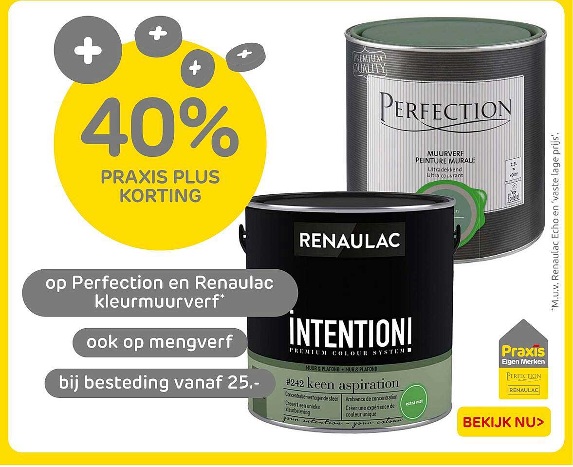 40% PRAKIS PLUS KORTING op Perfection en Renaualc kleurverf*