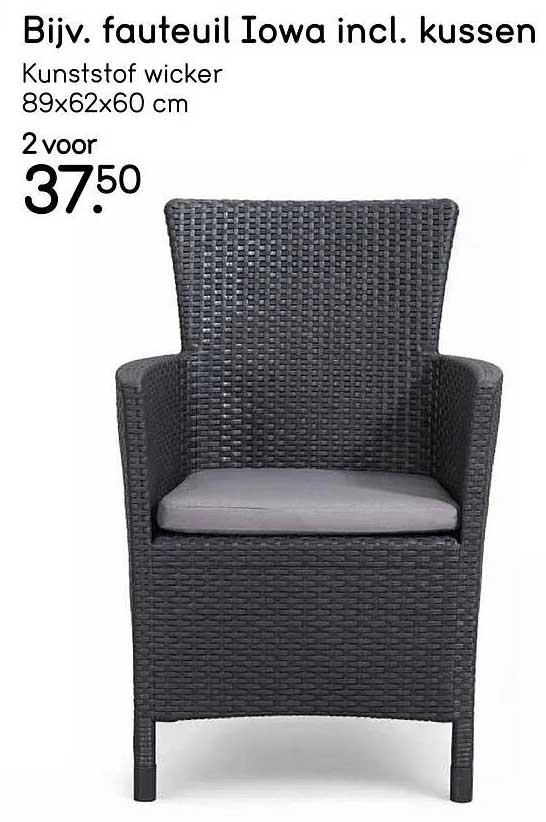 Bijv. fauteuil Iowa incl. kussen