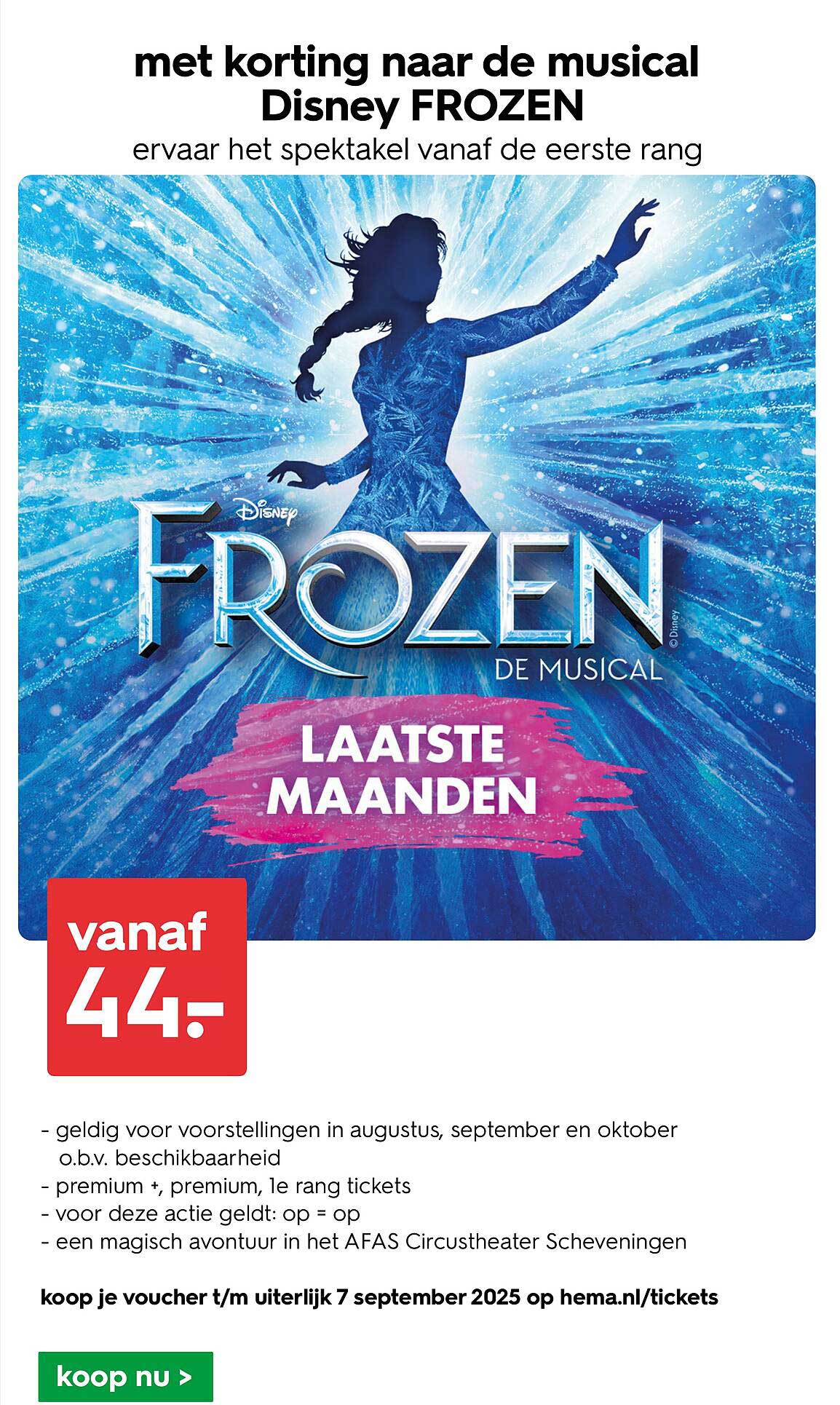 met korting naar de musical Disney FROZEN