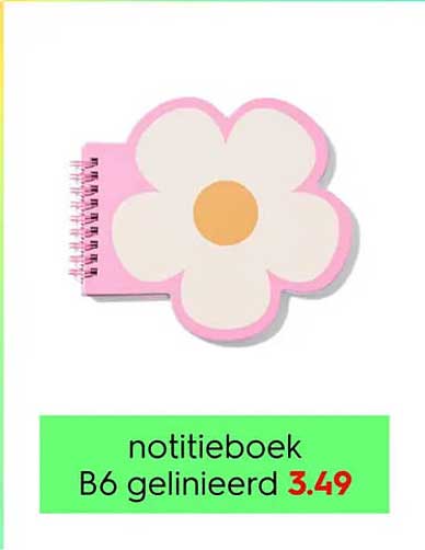 notitieboek B6 gelinieerd