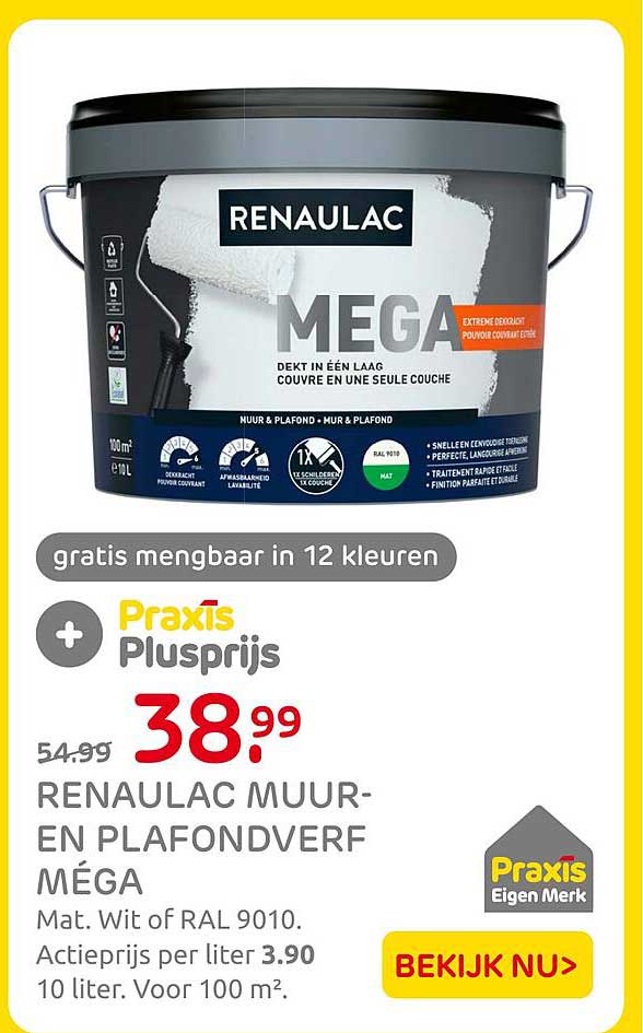 RENAULAC MUUR- EN PLAFONDVERF MÉGA