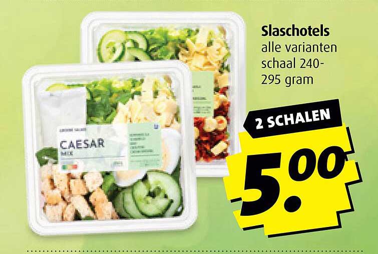 Slaschotels alle varianten schaal 240-295 gram