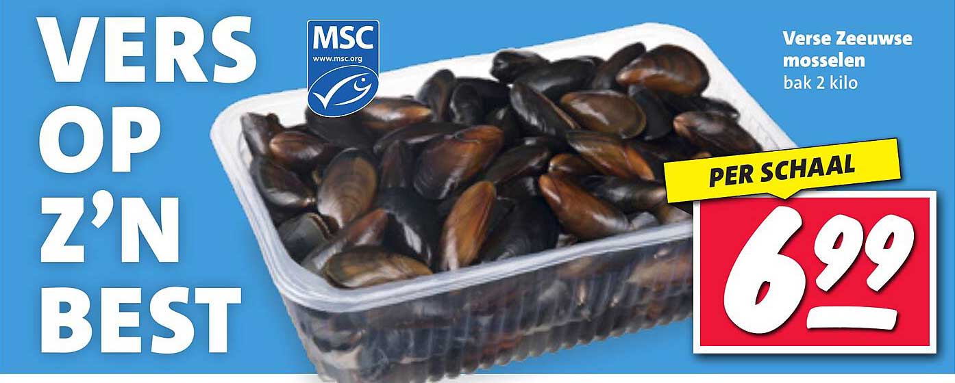 Verse Zeeuwse Mosselen bak 2 kilo