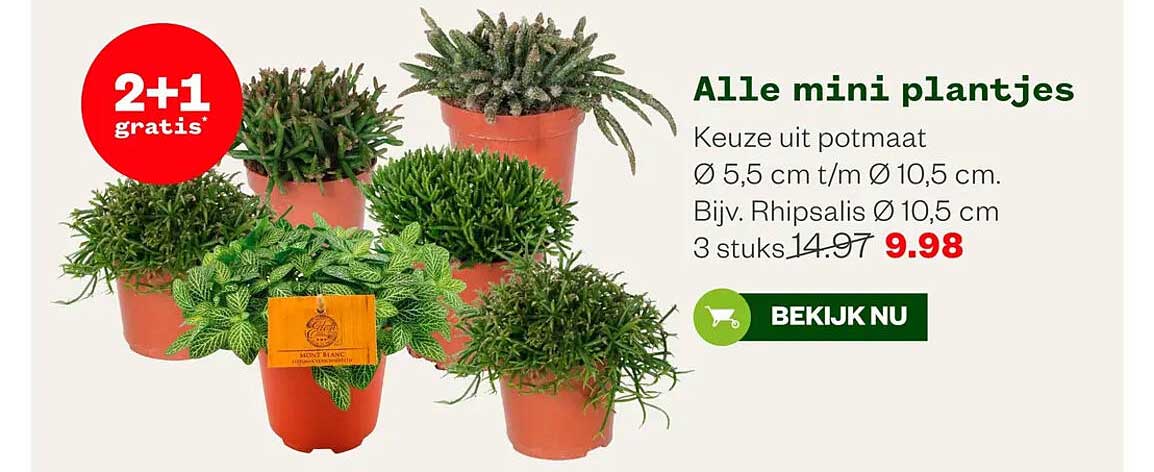 Alle mini plantjes 2+1 gratis