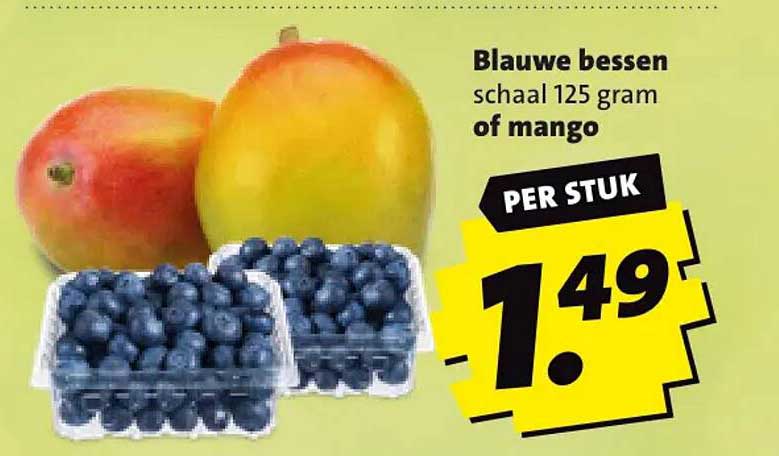 Blauwe bessen schaal 125 gram of mango PER STUK