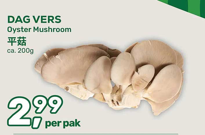 DAG VERS Oyster Mushroom 平菇 ca. 200g