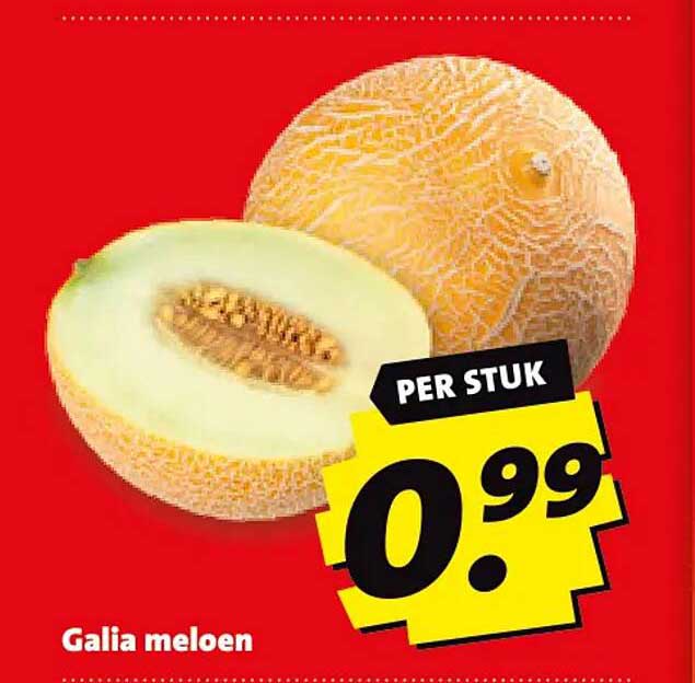 Galia meloen per stuk