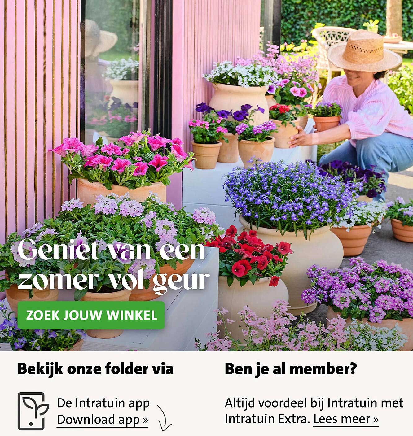 Geniet van een zomer vol geur