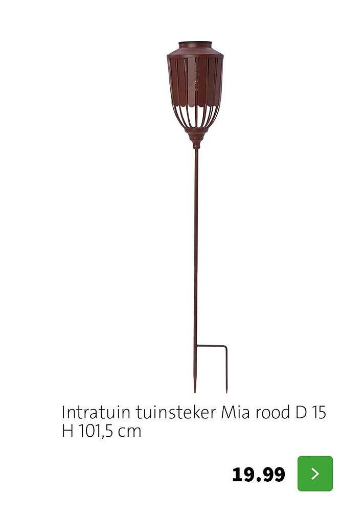 Intratuin tuinsteeker Mia rood D 15 H 101,5 cm