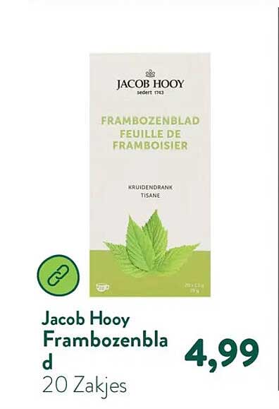 Jacob Hooy Frambozenblad 20 Zakjes