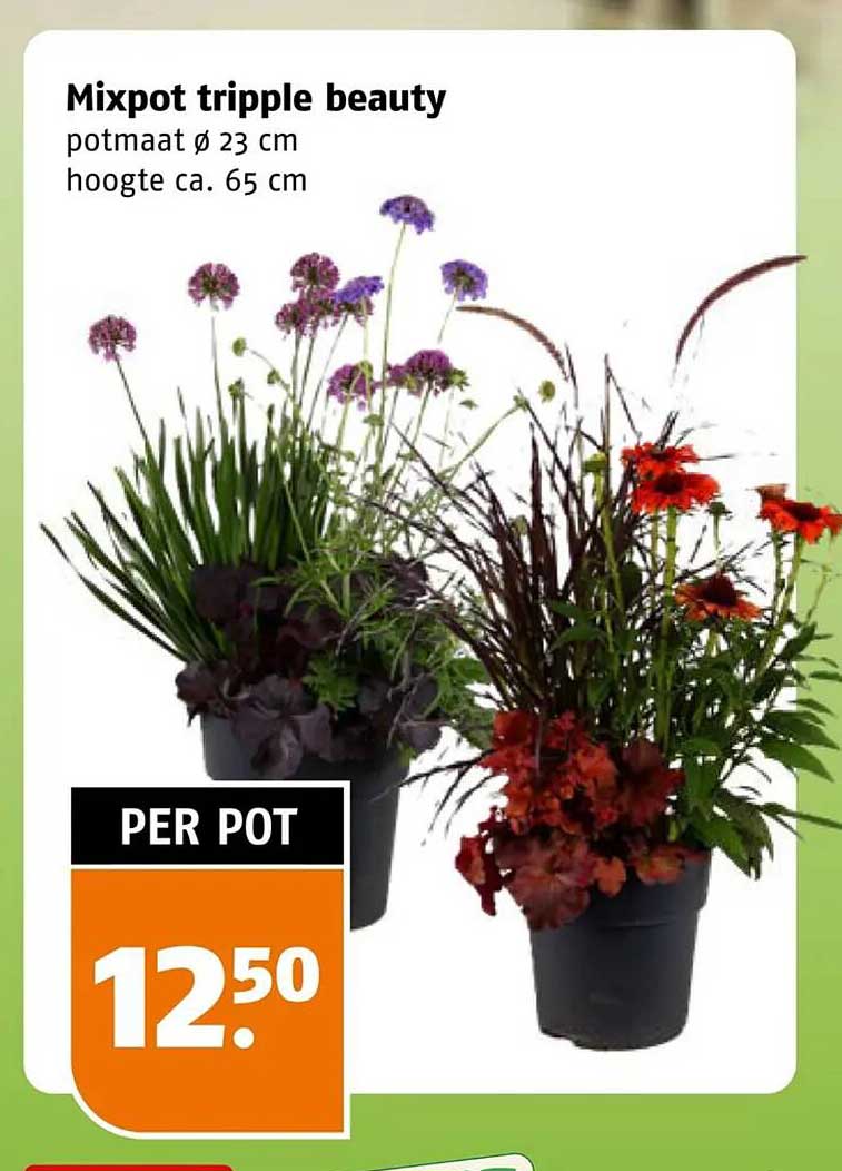 Mixpot triple beauty