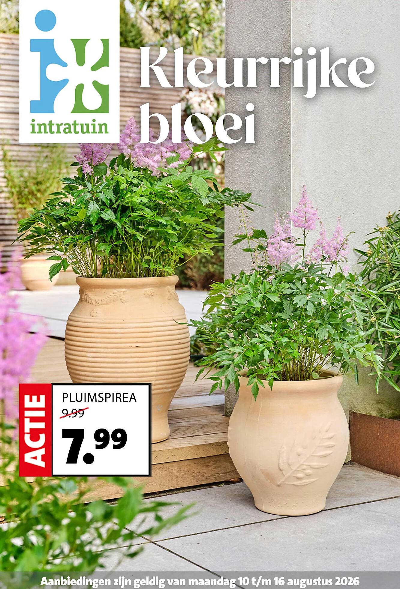 PLUIMSPIREA
