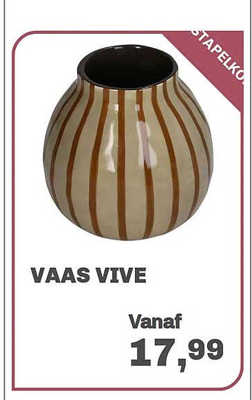 VAAS VIVE