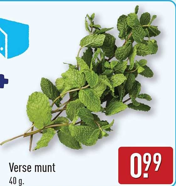 Verse munt
