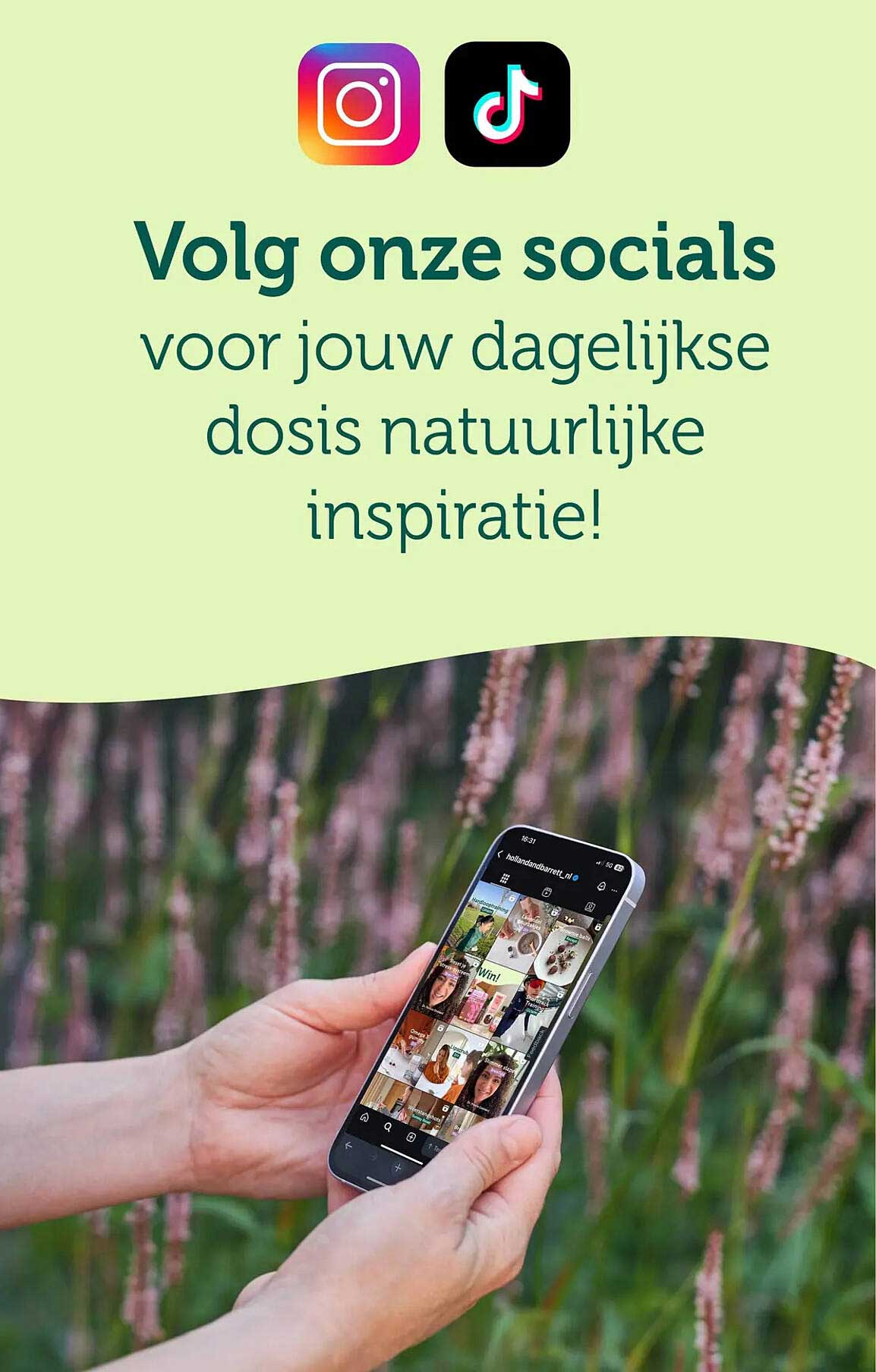 Volg onze socials voor jouw dagelijkse dosis natuurlijke inspiratie!