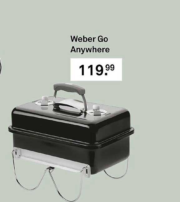 Weber Go Anywhere