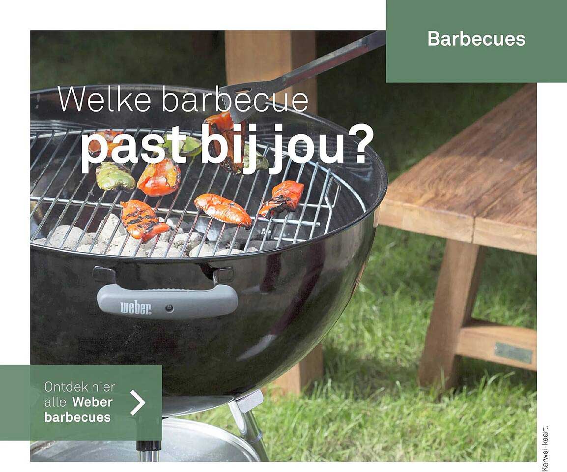 Welke barbecue past bij jou?