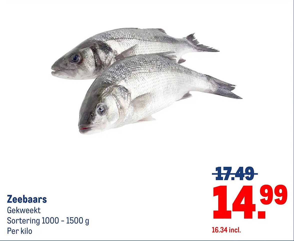 Zeebaars Gekweekt Sortering 1000 - 1500 g Per kilo