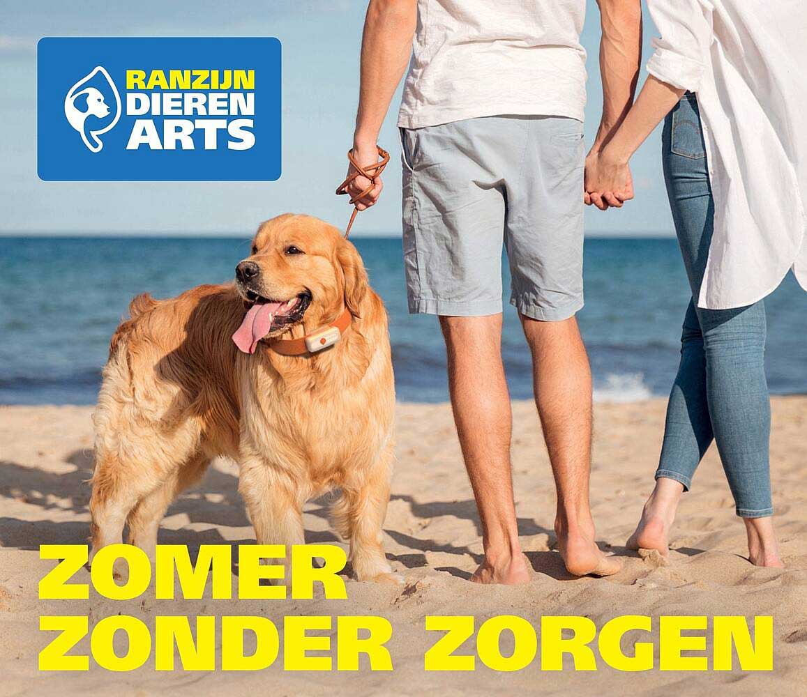 ZOMER ZONDER ZORGEN