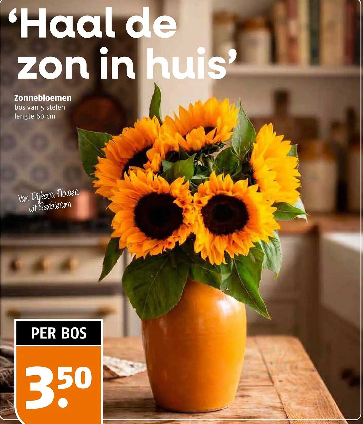 Zonnebloemen bos van 5 stelen lengte 60 cm