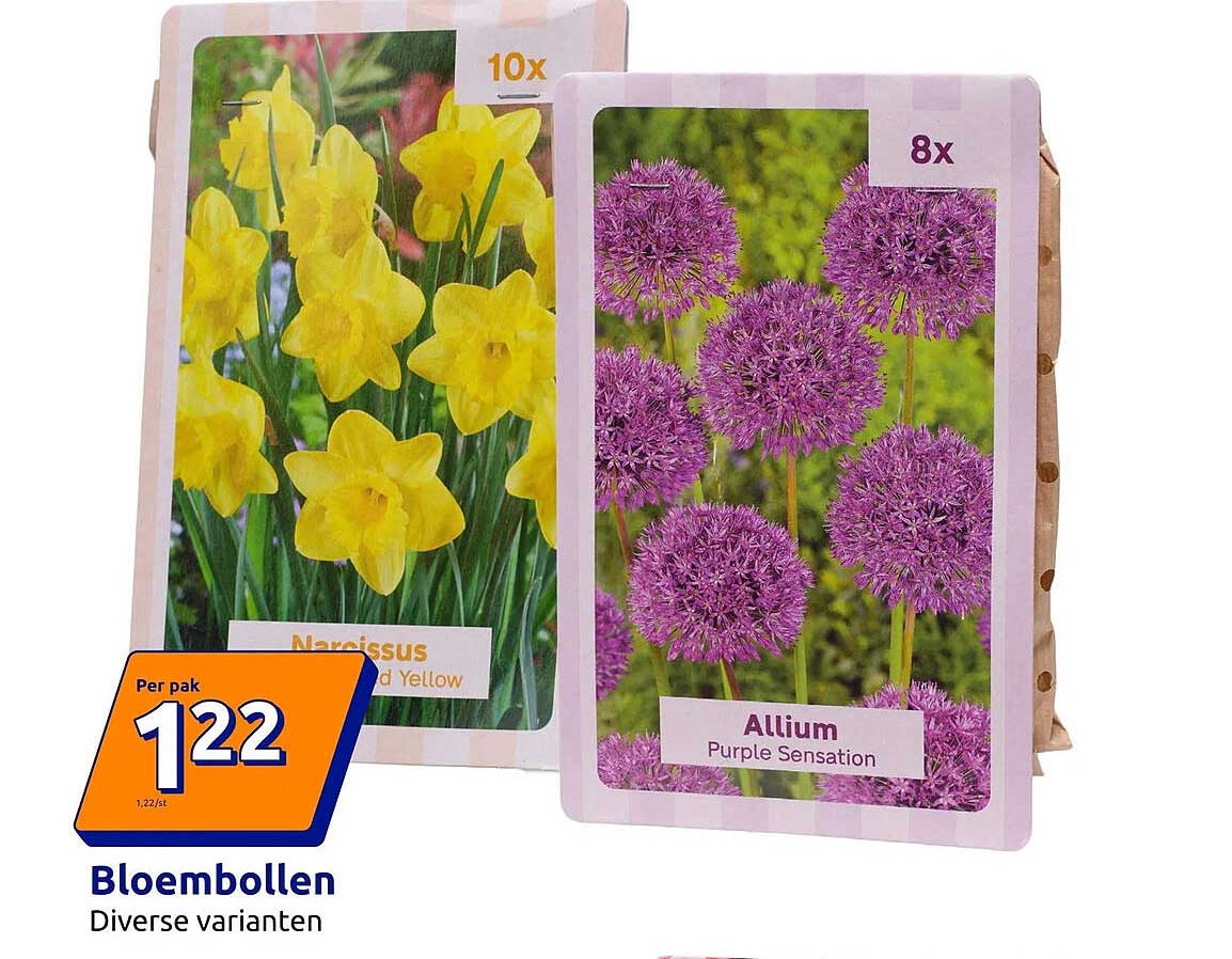 Bloembollen Diverse varianten