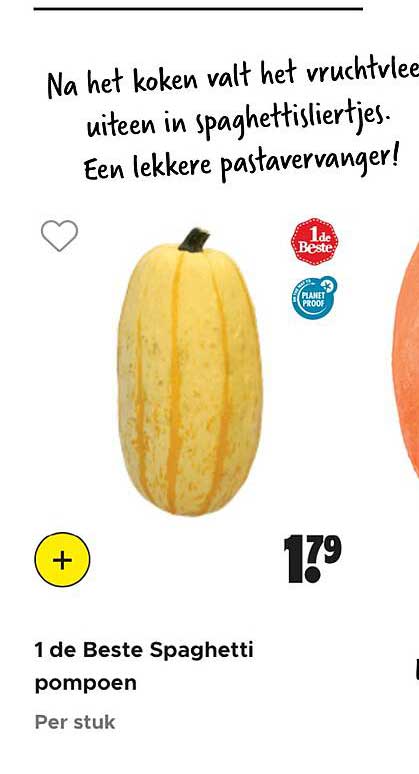 1 de Beste Spaghetti pompoen