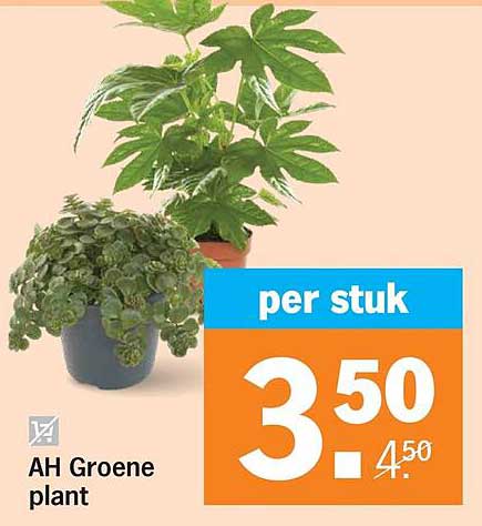 AH Groene plant