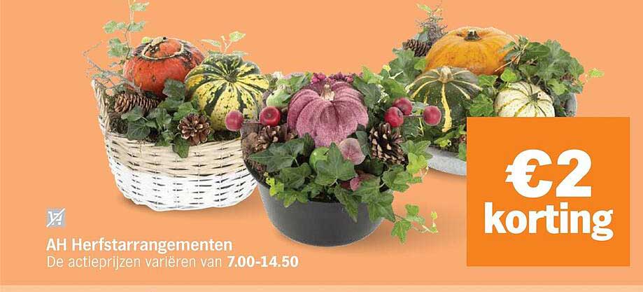 AH Herfstarrangementen