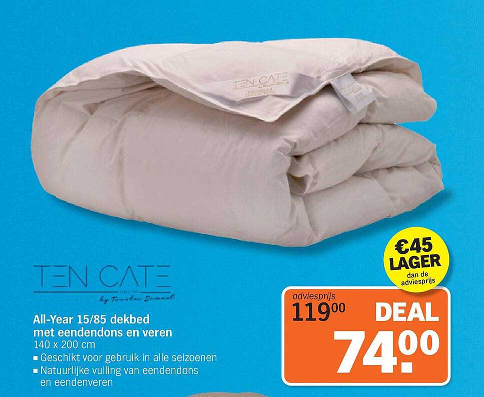 All-Year 15/85 dekbed met eendendons en veren 140 x 200 cm