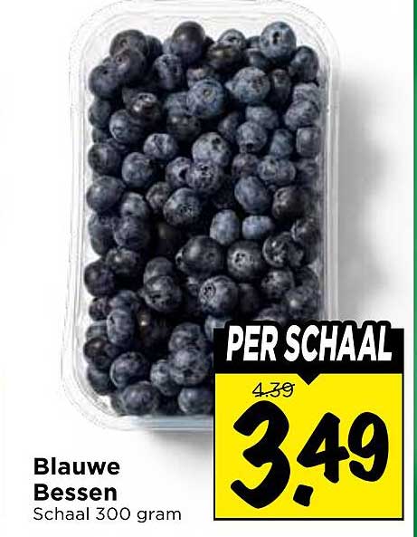 Blauwe Bessen Schaaltje 300 gram PER SCHAAL