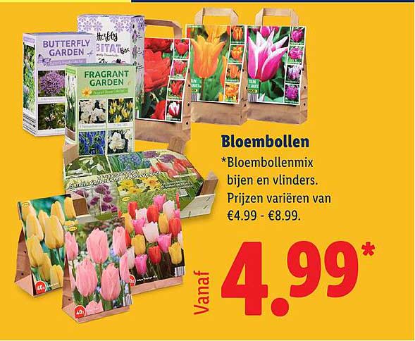 Bloembollen
