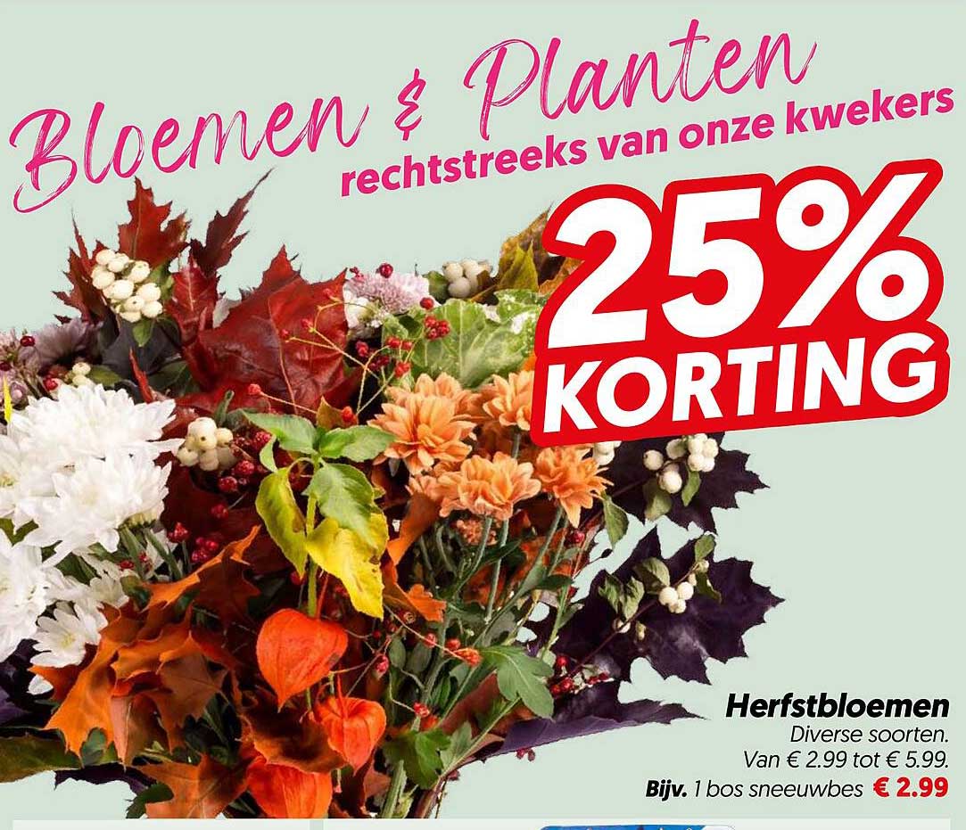 Bloemen & Planten rechtstreeks van onze kwekers 25% KORTING